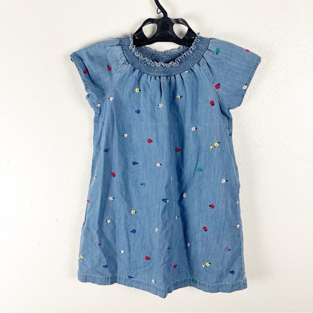 HANNA ANDERSSON Girls Springtime Chambry Ruffle Neckline Trim Dress, Size 6-7